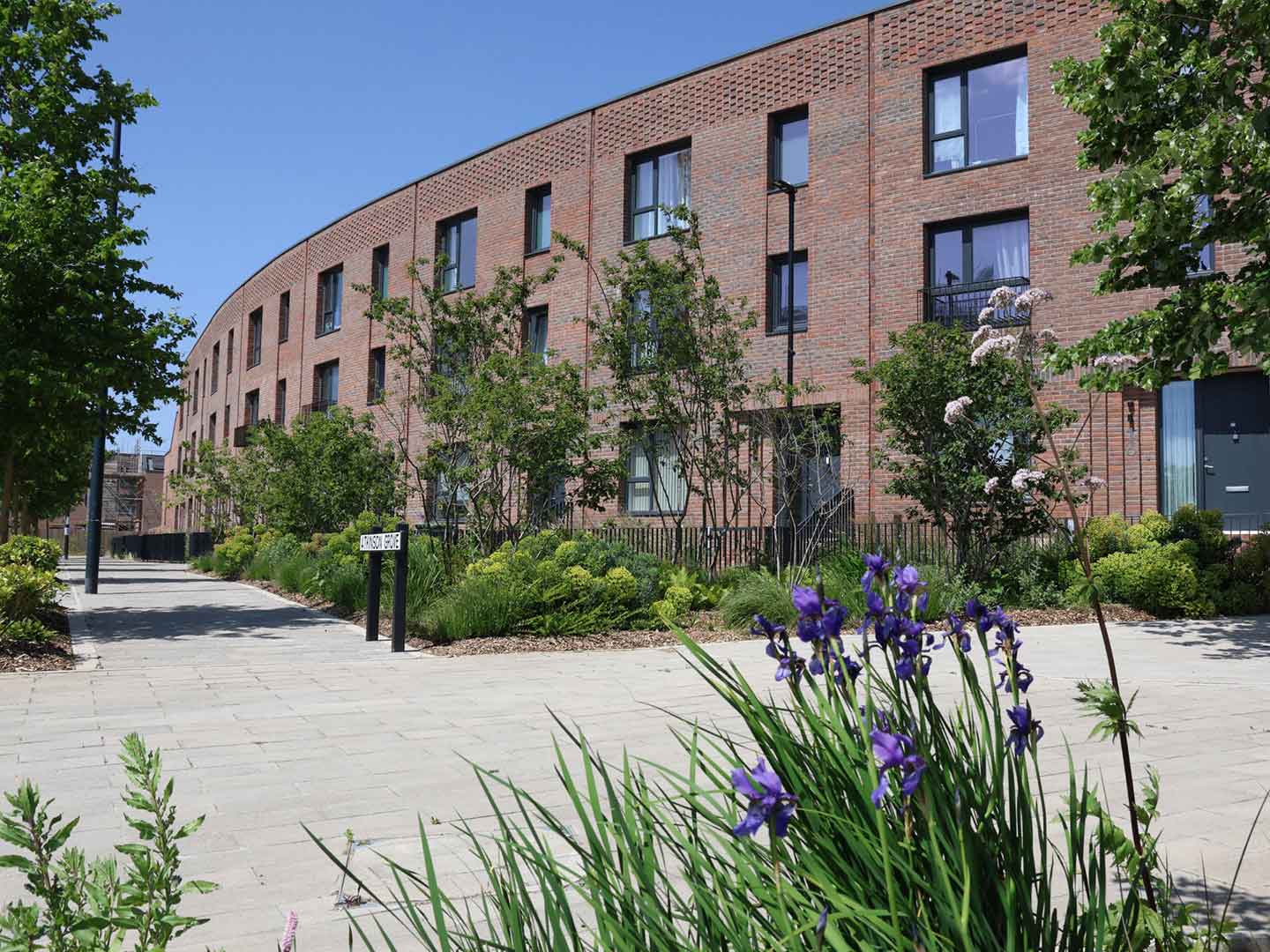 Beautifully tree-lined streets with greenery bursting at the seams at the Hangar District at Brabazon.