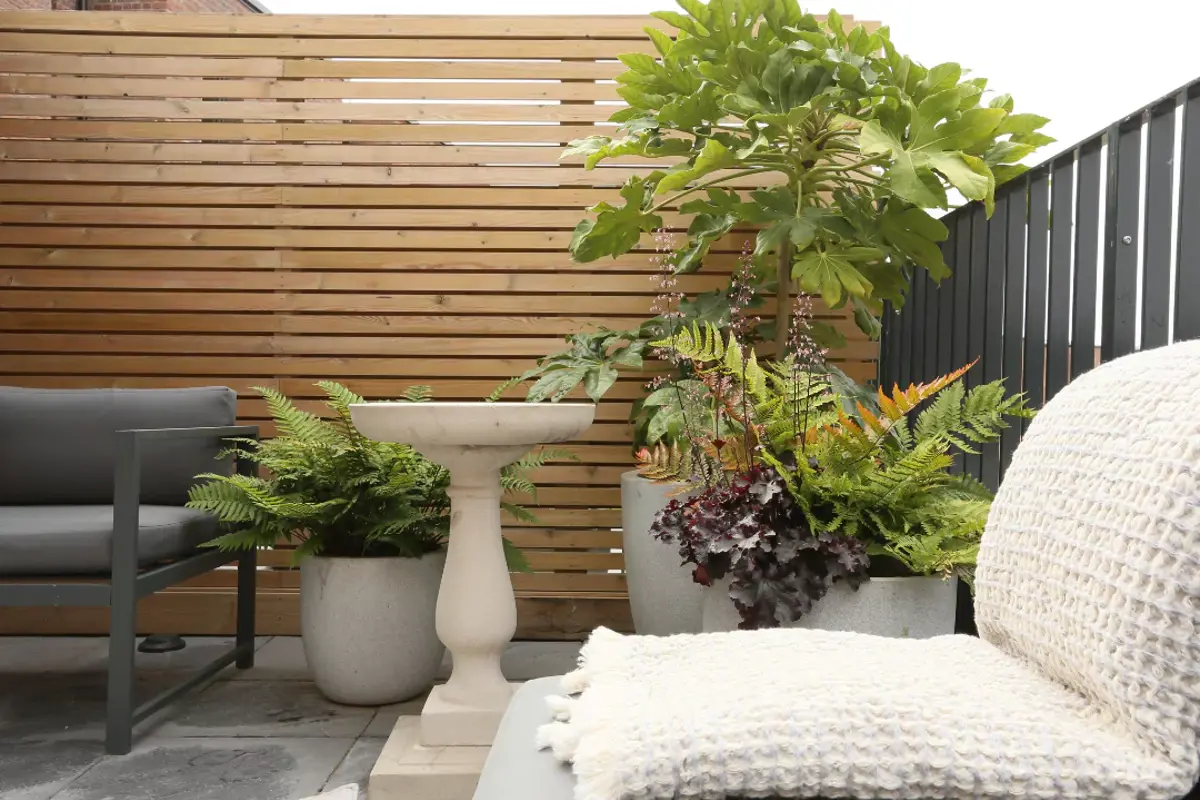 Styled new build terrace featuring potted plants and a bird bath.