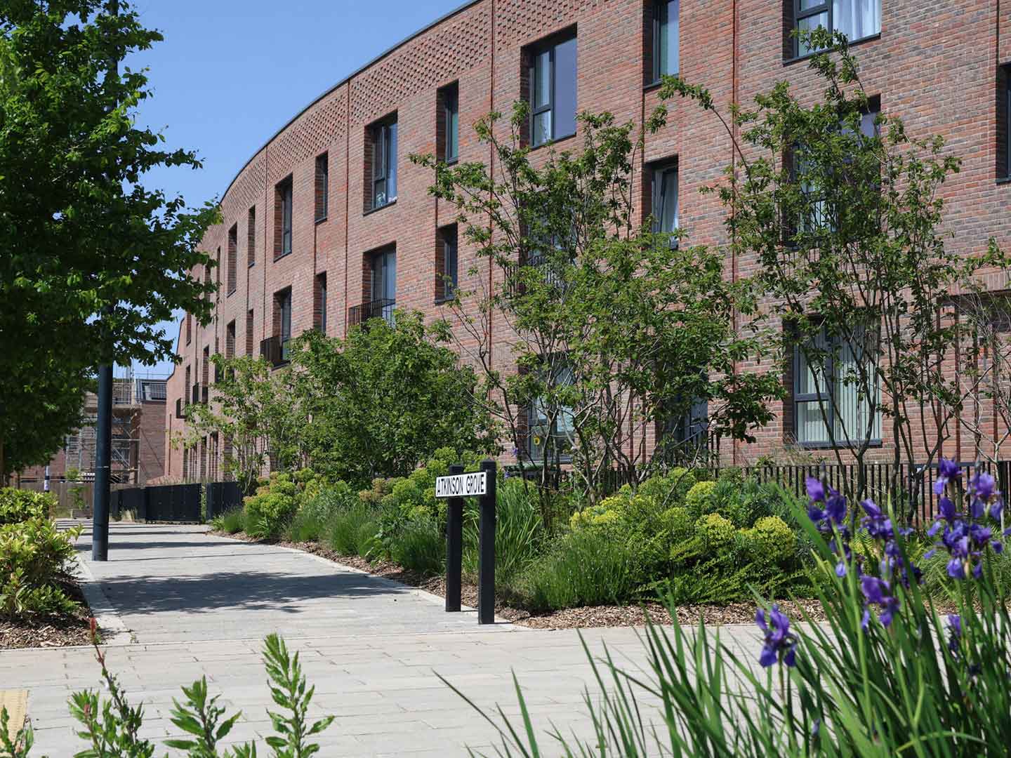 Beautifully tree-lined streets with greenery bursting at the seams at the Hangar District at Brabazon.