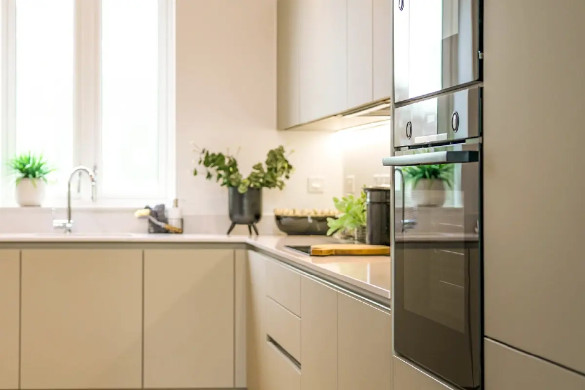A bright, modern kitchen with minimal cupboards, and vibrant green plants on counters.