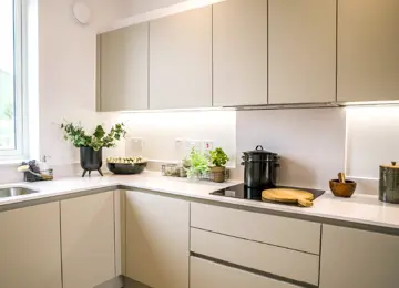 A bright, modern kitchen with minimal cupboards, and vibrant green plants on counters.