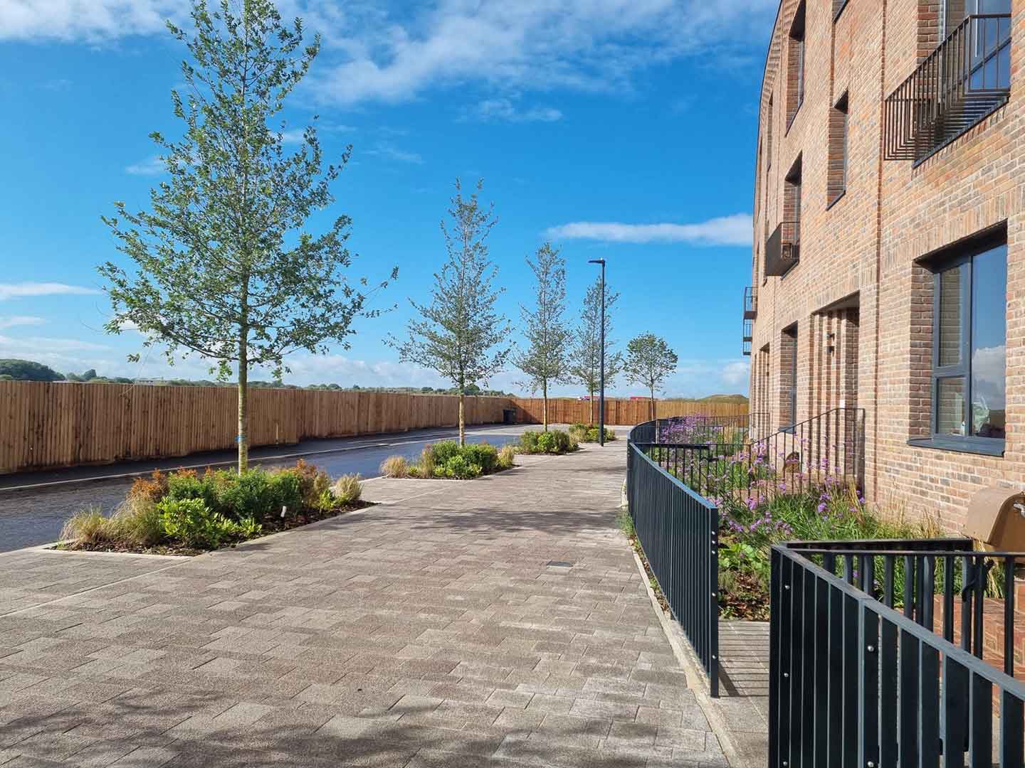 Beautifully tree-lined streets within the Hangar District at Brabazon.