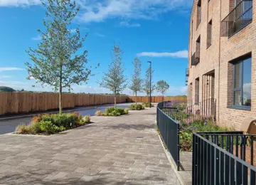 Beautifully tree-lined streets within the Hangar District at Brabazon.